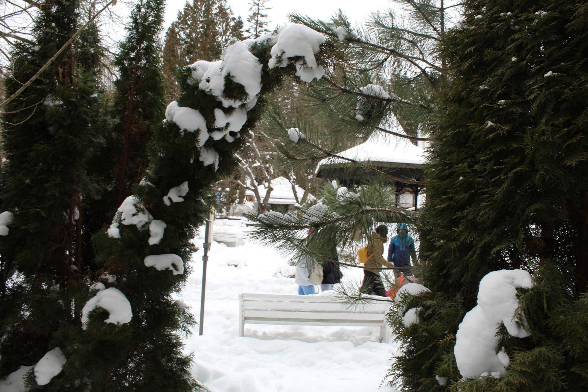 Central Park View シナヤ エクステリア 写真